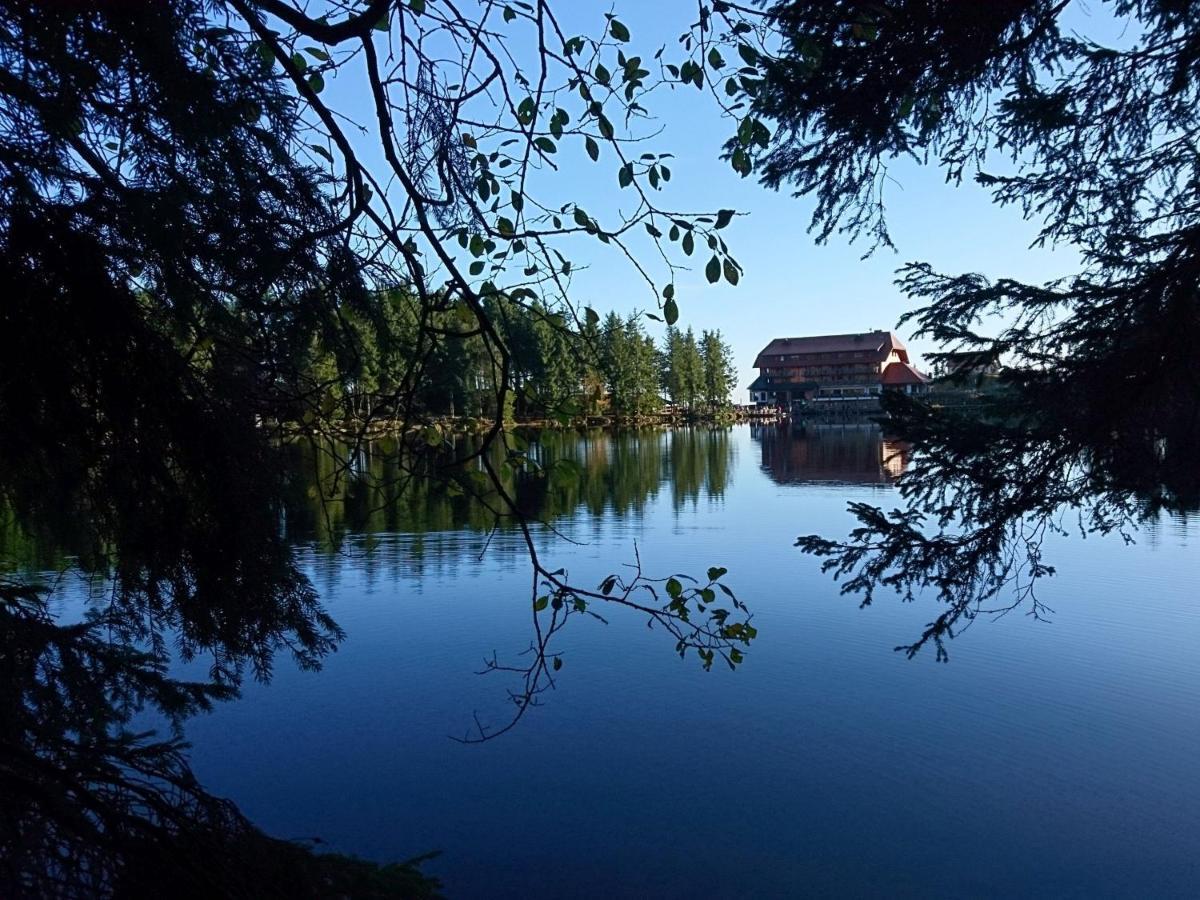 Fewo Vogesenblick Lauf Exterior photo